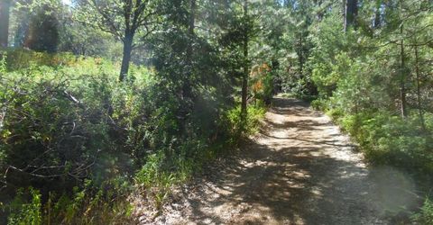 5301 Lone Star Rd, Wilseyville, CA 95257 Photo
