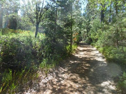 5301 Lone Star Rd, Wilseyville, CA 95257 Photo