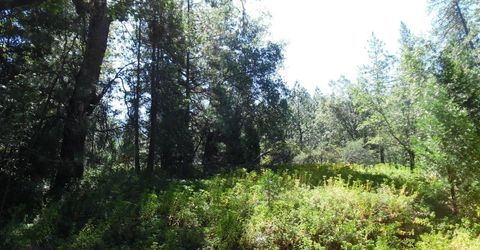 5301 Lone Star Rd, Wilseyville, CA 95257 Photo