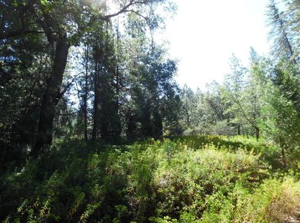 5301 Lone Star Rd, Wilseyville, CA 95257 Photo