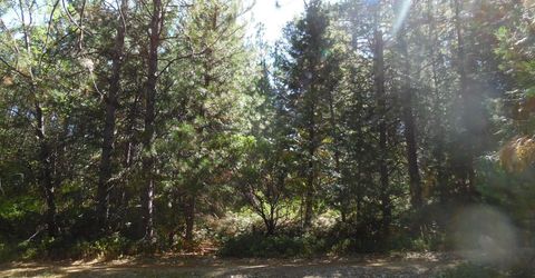 5301 Lone Star Rd, Wilseyville, CA 95257 Photo