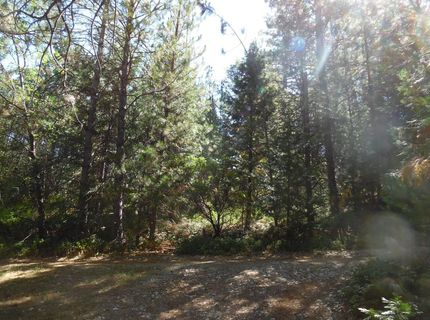 5301 Lone Star Rd, Wilseyville, CA 95257 Photo