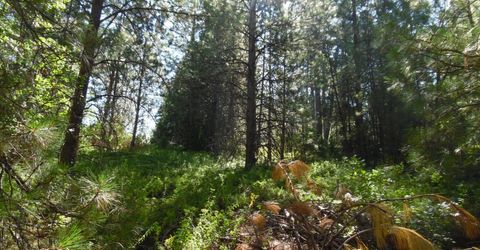 5301 Lone Star Rd, Wilseyville, CA 95257 Photo