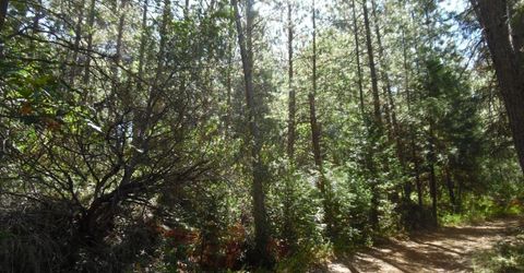 5301 Lone Star Rd, Wilseyville, CA 95257 Photo