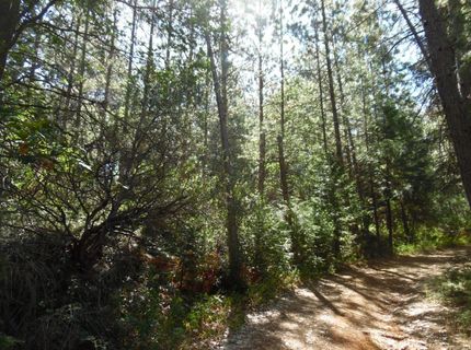 5301 Lone Star Rd, Wilseyville, CA 95257 Photo