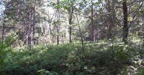 5301 Lone Star Rd, Wilseyville, CA 95257 Photo