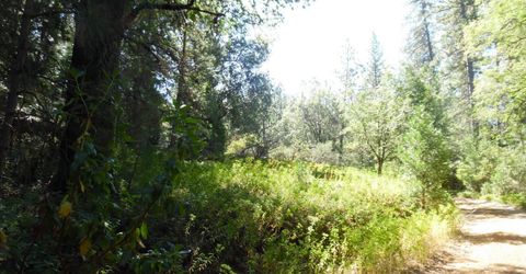 5301 Lone Star Rd, Wilseyville, CA 95257 Photo