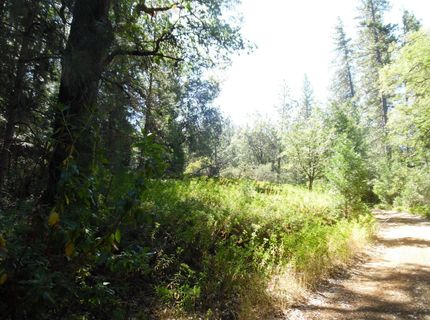 5301 Lone Star Rd, Wilseyville, CA 95257 Photo