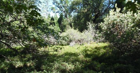 5301 Lone Star Rd, Wilseyville, CA 95257 Photo