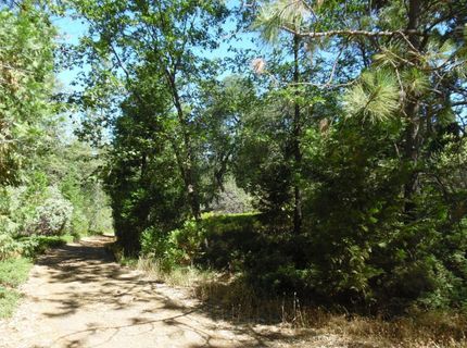 5301 Lone Star Rd, Wilseyville, CA 95257 Photo