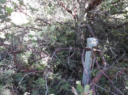 5301 Lone Star Rd, Wilseyville, CA 95257 Photo
