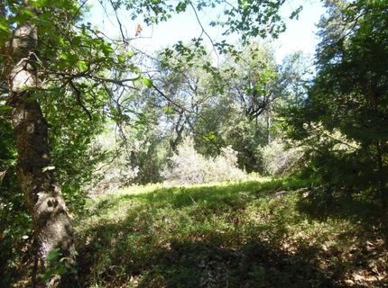 5301 Lone Star Rd, Wilseyville, CA 95257 Photo