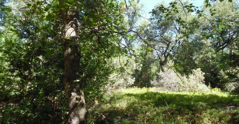 5301 Lone Star Rd, Wilseyville, CA 95257 Photo