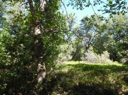 5301 Lone Star Rd, Wilseyville, CA 95257 Photo