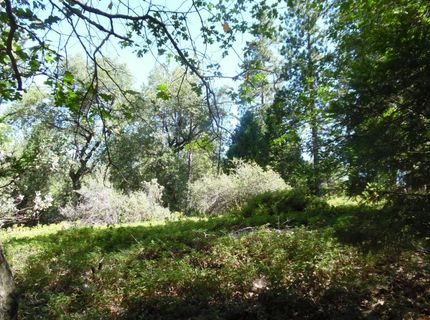 5301 Lone Star Rd, Wilseyville, CA 95257 Photo