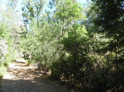5301 Lone Star Rd, Wilseyville, CA 95257 Photo