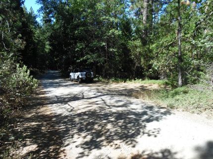 5301 Lone Star Rd, Wilseyville, CA 95257 Photo