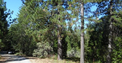 5301 Lone Star Rd, Wilseyville, CA 95257 Photo