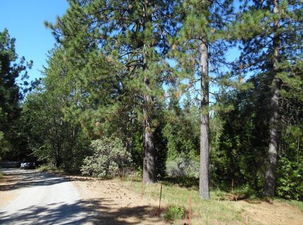 5301 Lone Star Rd, Wilseyville, CA 95257 Photo