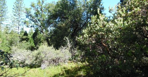 5301 Lone Star Rd, Wilseyville, CA 95257 Photo