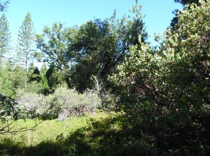 5301 Lone Star Rd, Wilseyville, CA 95257 Photo