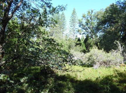 5301 Lone Star Rd, Wilseyville, CA 95257 Photo