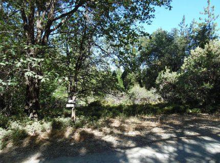 5301 Lone Star Rd, Wilseyville, CA 95257 Photo