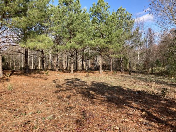 0 Highway 20 , Summertown, TN 38483