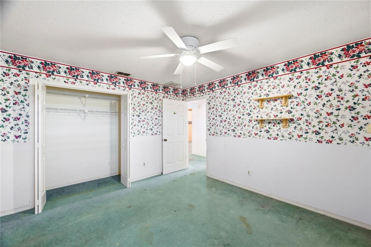1136 3rd Avenue S, Tierra Verde, FL 33715 Photo