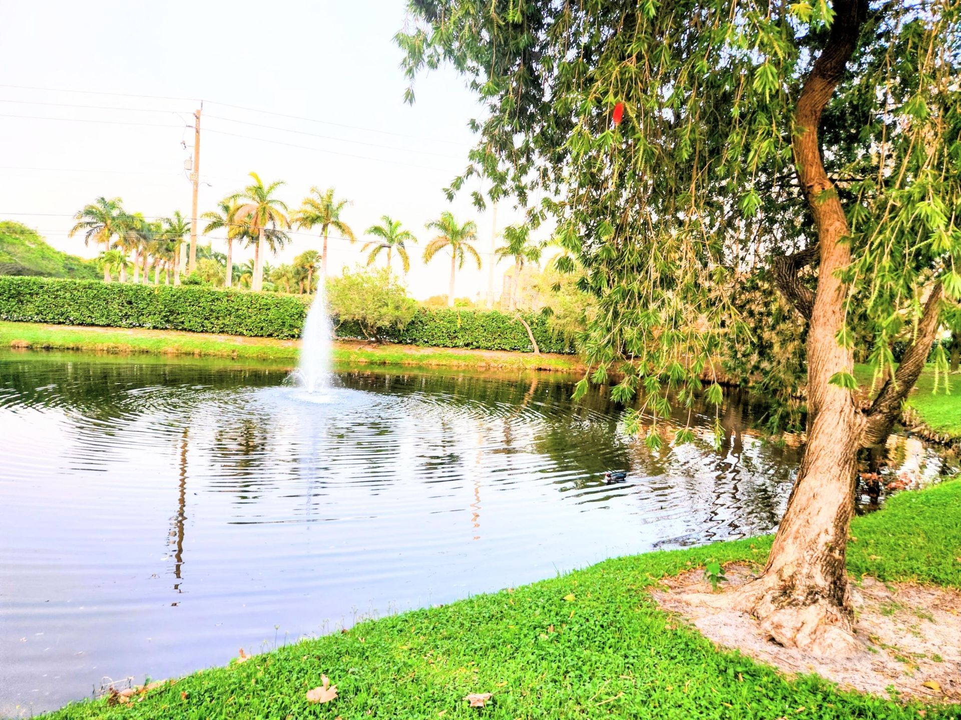 1020 Crystal Way, Unit C, Delray Beach, FL 33444 Photo
