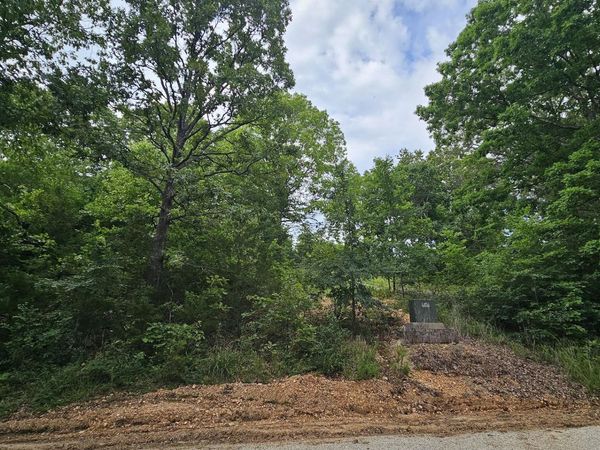 Lot #13 Hanging Branch, Cape Fair, MO 65624