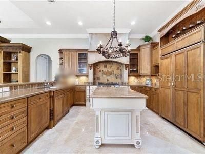 234 Acadia Terrace, Celebration, FL 34747 Photo