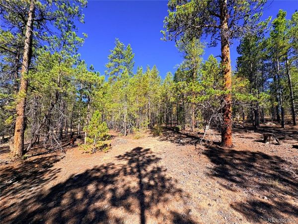323 Aspen Drive , Leadville, CO 80461