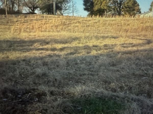 0 Mitchell Lane , Halls, TN 38040