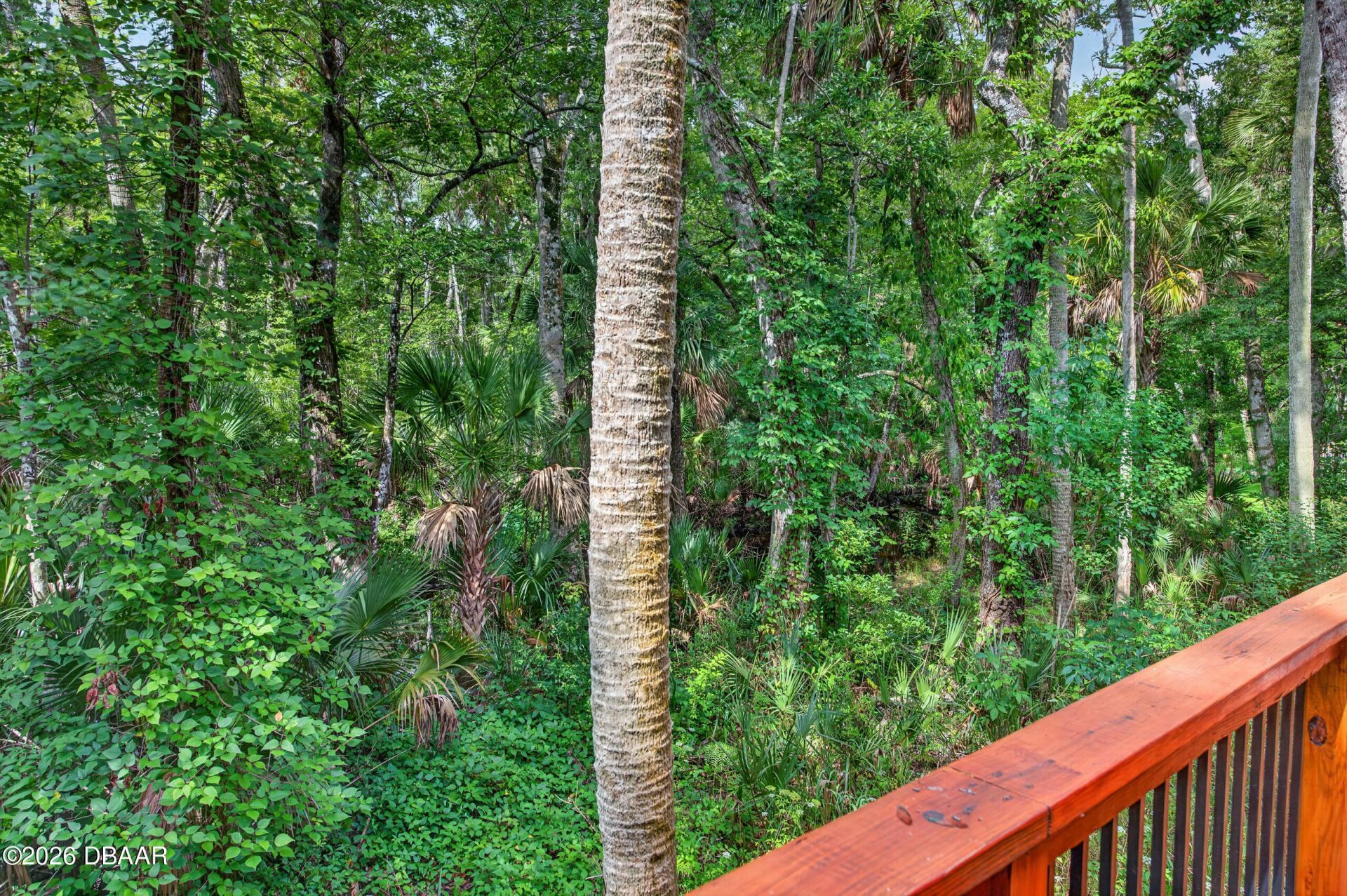 15 River Ridge Trail, Ormond Beach, FL 32174 Photo