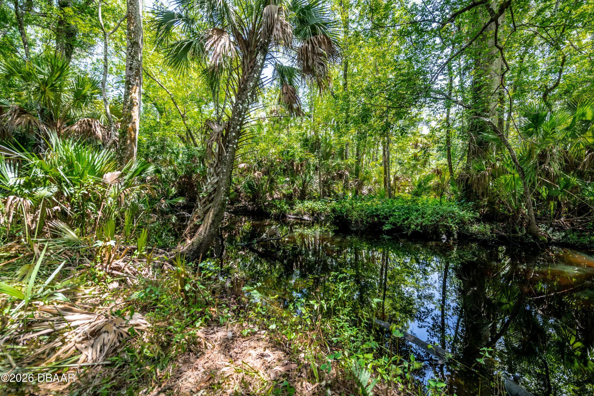 15 River Ridge Trail, Ormond Beach, FL 32174 Photo