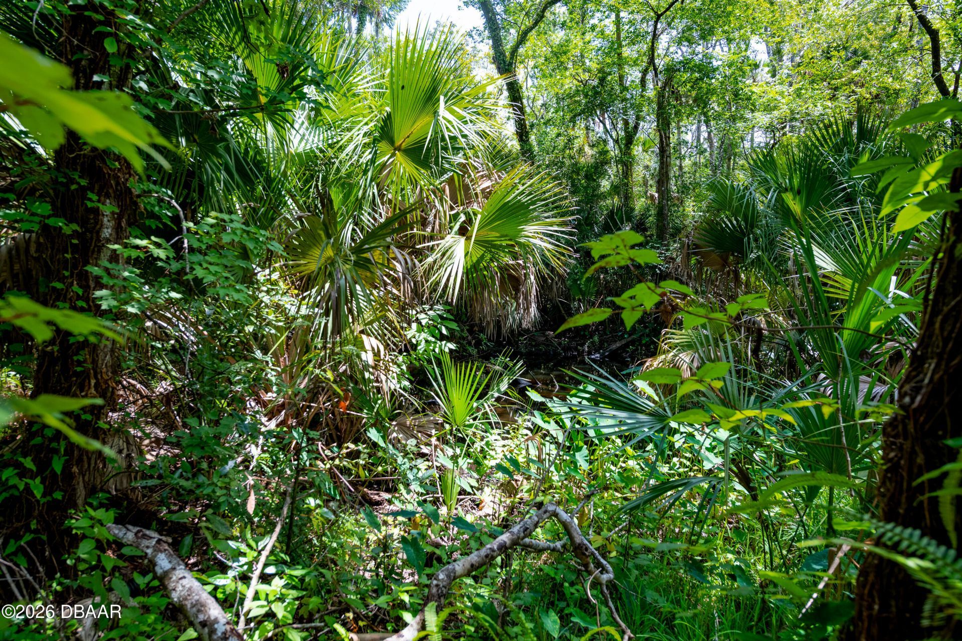 15 River Ridge Trail, Ormond Beach, FL 32174 Photo