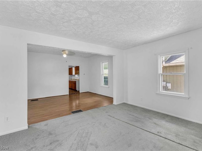 315 Plymouth Avenue, Girard, OH 44420 Photo 3