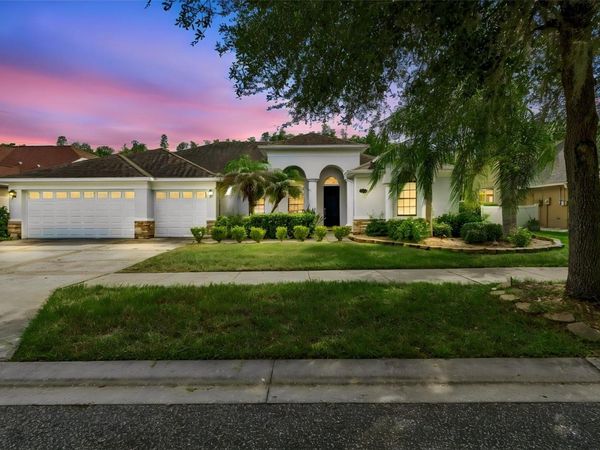 19236 CLIMBING ASTER DRIVE , TAMPA, FL 33647