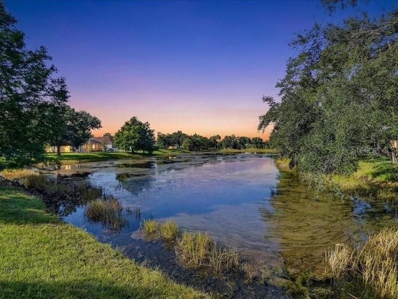 14224 Gnatcatcher Terrace, Bradenton, FL 34202 Photo
