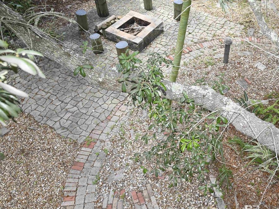 Property Image 45