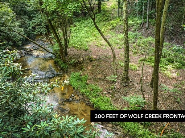 00 Mill Race Drive, Mineral Bluff, GA 30559