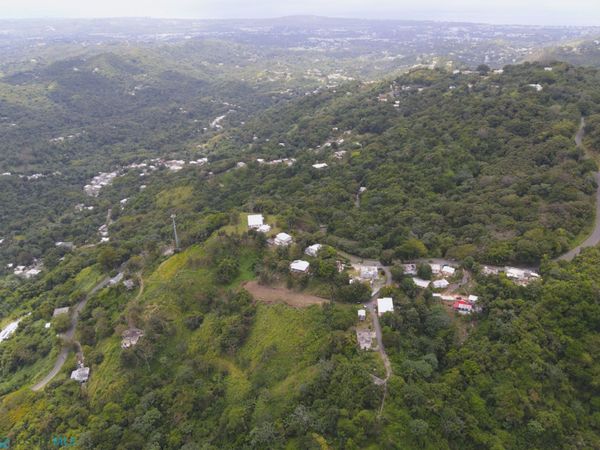 Km 1.7 int CARRETERA 3349, Mayaguez, PR 00680