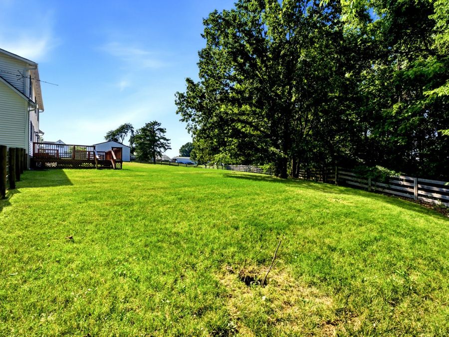 Property Image 79