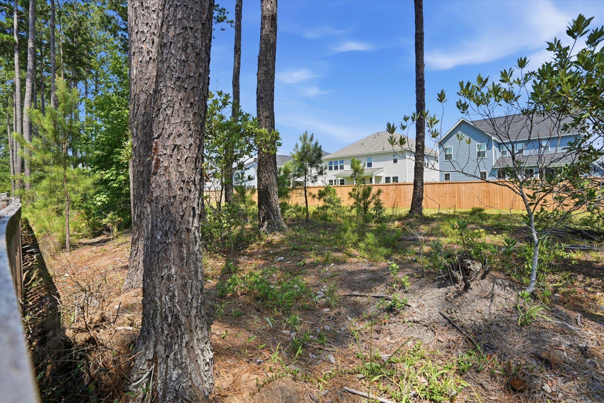 295 Saxony Loop Photo 49