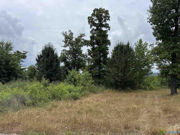 75 Vista Trail, Southside, AL 35907