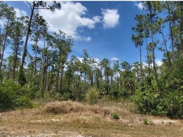 4045 12th AVE SE, NAPLES, FL 34117