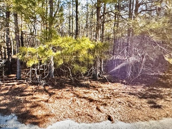 285 Dodge Point Drive , Pinetops, NC 27864