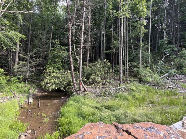 121 Acres Rt 20, Pipestem, Pipestem, WV 25979