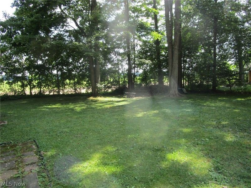 888 Long Shadow Lane, Roaming Shores, OH 44085 Photo 44